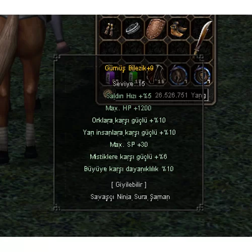  +9 GÜMÜŞ 10 YARI 10 BÜYÜ ELİT